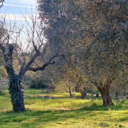 Casa Baronessa Villa Ceglie Messapica Eksteriør bilde
