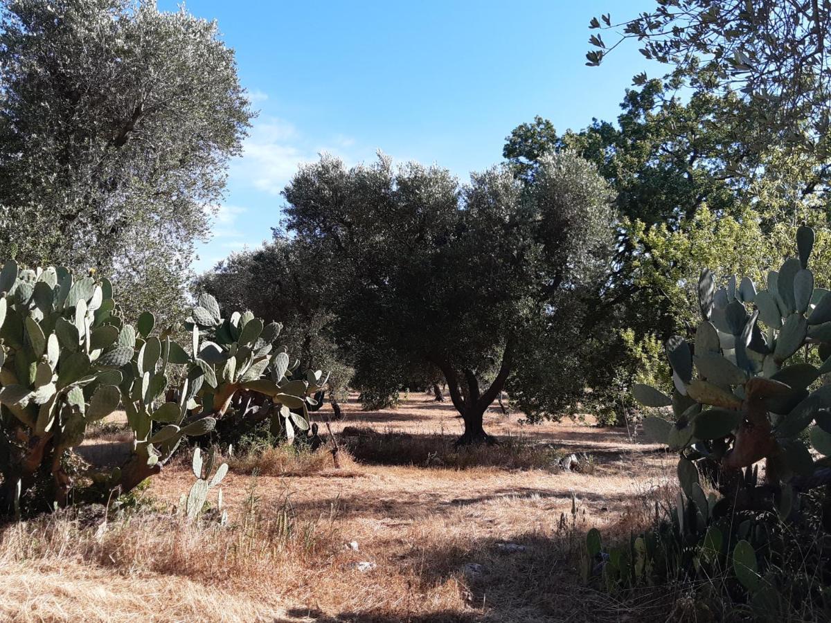 Casa Baronessa Villa Ceglie Messapica Eksteriør bilde