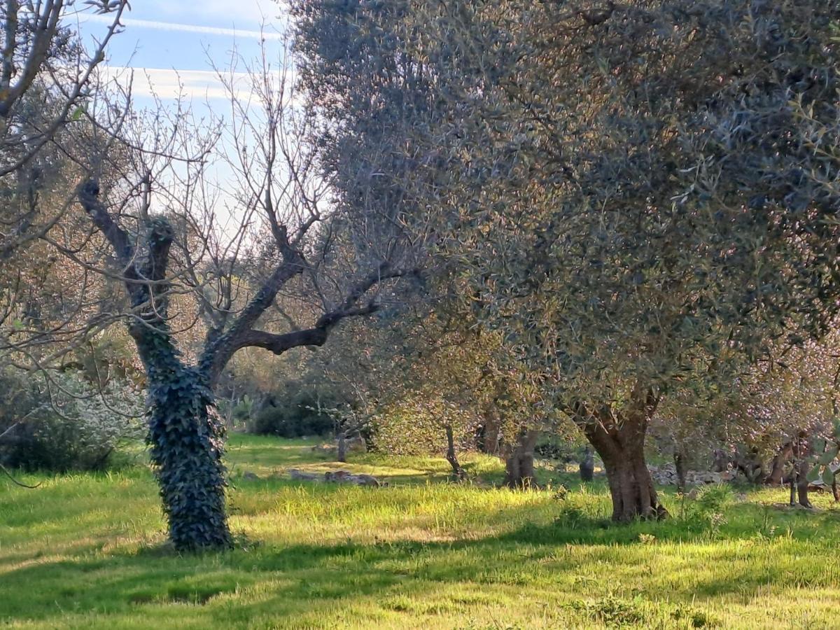 Casa Baronessa Villa Ceglie Messapica Eksteriør bilde